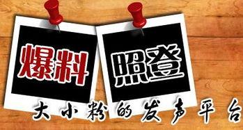 重庆新闻台爆料,重大事件引发社会关注